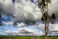 leyu乐鱼体育：丁浩、范廷钰闯进中国棋王争霸赛决赛.