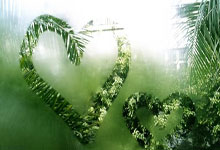 leyu乐鱼体育：世预赛国足主场不敌澳大利亚新华社.